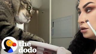 Cat Won't Stop Smacking His Mom | The Dodo