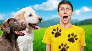 My Dogs Pranked Me!  Hilarious Pet Moments and Funny Stories