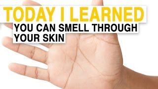 TIL: You Can Smell Through Your Skin | Today I Learned