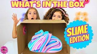 SLIME CHALLENGE - WHAT'S IN THE BOX!