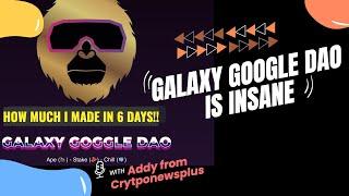 GALAXY GOOGLE DAO UPDATE: HOW MUCH I MADE IN JUST 6 DAYS