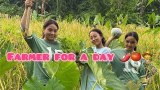 Road to Rumesinyu Village & lunch at the farm || @Sebnagafamily7 || @keppensvlog9855 ||@ThemomsVlog