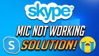 How to Fix Skype Microphone Not Working [2024]