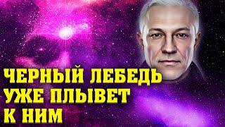 Их судьба медленно умирать или покинуть Землю