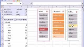 Excel 2010 Preview #4: Pivot Table Slicer (Report/Page Filter Slicer)