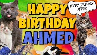 Happy Birthday Ahmed! Crazy Cats Say Happy Birthday Ahmed (Very Funny)