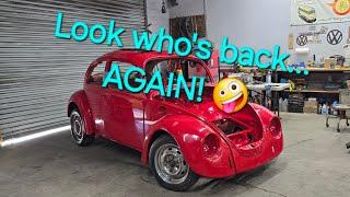 A Day in the Life of Vintage Classic Specialist, Episode 173, the '69 Cal Look bug is BACK!