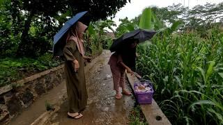 SUASANA SETELAH HUJAN DI KAMPUNG, UDARANYA DINGIN MENIKMATI MIE REBUS HANGAT