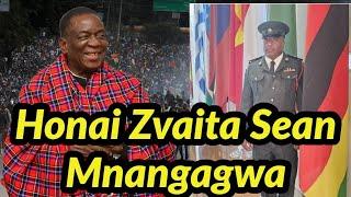 Honai Zvaita Sean Mnangagwa - Mnangagwa must go 