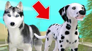 КАКОЙ САМЫЙ КРАСИВЫЙ СКИН в Dog Sim