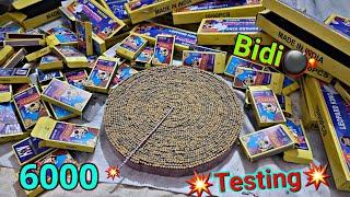 6000 Pani Wala Bumb Testing 2021 | पानी वाला बम | Bidi Bomb Testing 2021 | All New Cracker Price 