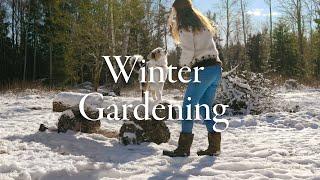 26 | Preparing our Vegetable Garden in south Sweden | The Northern Lights & Talking about Seeds.