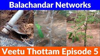 Veetu Thottam Episode 5 | How To Grow முருங்கை மரம் | Balachandar Networks