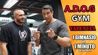 Gimnasios de España| A.D.O.G Gym Valencia