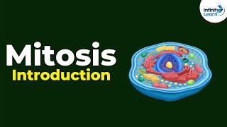 Introduction to Mitosis | Don't Memorise