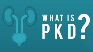 What is Polycystic Kidney Disease (PKD)?