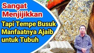 Mengungkap Fakta Mengejutkan Manfaat Tempe Bosok untuk Kesehatan