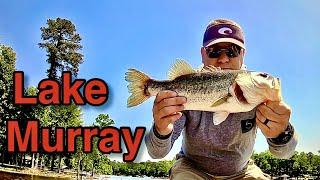 Bass Fishing the Blueback Herring Spawn at Lake Murray.  Catching Schooling Bass on Topwater.