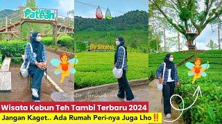 WISATA KEBUN TEH TAMBI TERBARU 2024‼️Mulai Dari Kebun Teh Sikatok, Patean & Taman Rumah Peri 