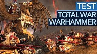 Total War: Warhammer - Test-Video: Gelingt die Total-War-Revolution?