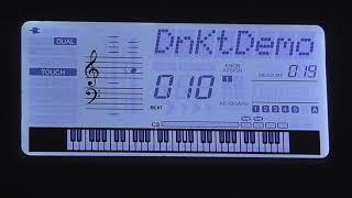 10-DnKt Demo YAMAHA psr E463