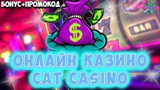 Онлайн казино Cat casino  Промокод Cat казино  Кєт казино обзор  №21