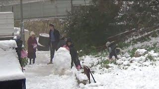 שלג בירושלים - ילדים משחקים וחתולים בשלג - Snowing in Jerusalem