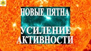 НОВЫЕ ПЯТНА НА СОЛНЦЕ! УСИЛЕНИЕ МАГНИТНЫХ БУРЬ ВО ВТОРНИК СЕГОДНЯ 26 НОЯБРЯ!