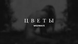 Wildways — Цветы (Lyric Video)