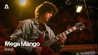 Mega Mango - Sorry! | Audiotree Live