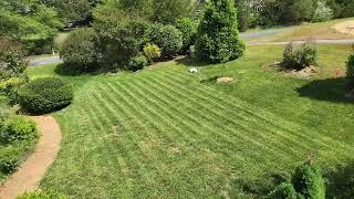 luba robot stripes front lawn - time-lapse mowing  | Mowing Magic