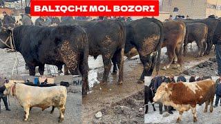 BALIQCHI MOL BOZORI KUCHAYIB KETIBDI