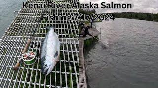 Fishing for salmon on Kenai river Alaska