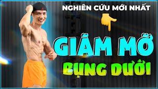 Nghiên cứu mới nhất về giảm mỡ bụng giúp bạn có thể giảm mỡ cục bộ từng nơi trên cơ thể