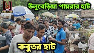 Uluberia pet market | Current Exotic Pigeon's Price Update at Uluberia 04/05/2024 Visit | One Moon