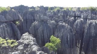 Tsingy de Bemaraha national park Madagascar