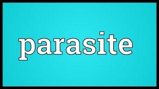 Parasite Meaning