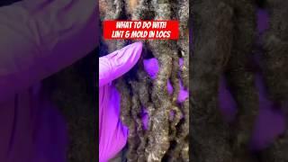 locs with lint and mold buildup