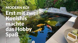 Ein stylischer 17.000 Liter Koiteich mit tollen Koi | Modern Koi Blog #7195