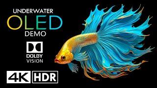 World of UnderwaterOLED Dolby Vision 4K HDR 60FPS (4K Video)