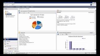 Dynamics GP   Web Client