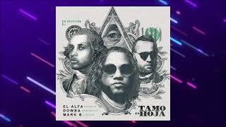 EL ALFA x DOWBA MONTANA x MARK B - TAMO EN HOJA