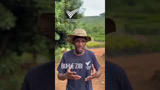 Buhle Zibi on his Agricolleges International Practical experience #agriculturecourse