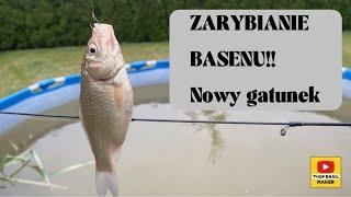 ZARYBIANIE BASENU #5 |nowy gatunek ryby| ^stan roslin^