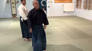 Aikido: Helpful Hints on Tenkan / Tai-no-Henko