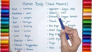 KOSAKATA BAHASA INGGRIS TENTANG ANGGOTA TUBUH MANUSIA (ENGLISH VOCABULARY ABOUT HUMAN BODY)