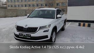 Шкода Кодиак Актив 4x2 обзор минимальной комплектации с доп. пакетами (Skoda Kodiaq Active)