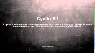 Medical vocabulary: What does Cyclin B1 mean