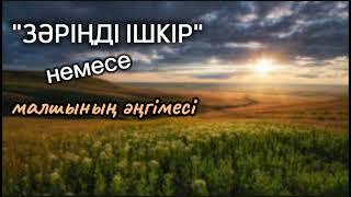 Бастығына зәрін ішкізген әйел. #әсерліәңгіме #болғаноқиға #болғаноқиғажелісімен