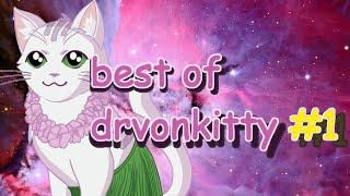 literal actual best cat streamer ever – best of drvonkitty #1